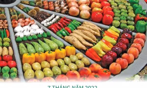 7 tháng năm 2022: Xuất khẩu nông, lâm, thủy sản đạt hơn 32 tỷ USD