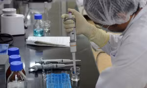 Các nhà khoa học Israel nuôi cấy thành công phôi chuột nhân tạo bên ngoài tử cung