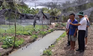 Ứng phó xâm nhập mặn, bảo vệ các vùng sản xuất trọng điểm