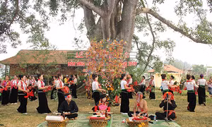 Lễ hội Hết Chá ở Mộc Châu, Sơn La hướng tới xây dựng, bảo vệ cuộc sống hạnh phúc cho người dân