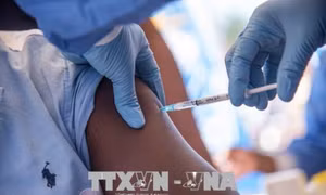 Dịch Ebola bùng phát trở lại ở miền Đông Congo