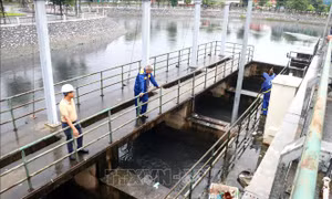 Hải Phòng: Huy động trên 11.000 người ứng phó bão số 4