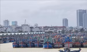 Thủ tướng Chính phủ yêu cầu tập trung triển khai các biện pháp khẩn cấp ứng phó bão số 13