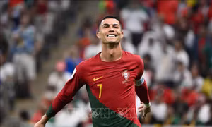 EURO 2024: Con sư tử già đi săn