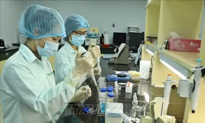 Phát triển thị trường KH&CN dựa trên tài sản trí tuệ - Tài sản vô hình cần được coi là tài sản chính trong giao dịch