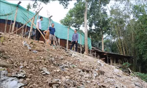 Nơm nớp lo sạt lở dưới chân Thủy điện Châu Thắng