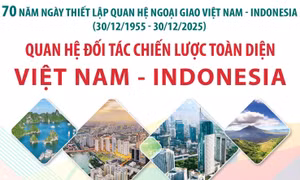 Quan hệ đối tác chiến lược toàn diện Việt Nam - Indonesia
