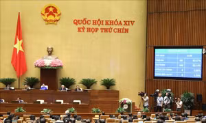 Thông qua Nghị quyết về thí điểm một số cơ chế, chính sách đặc thù phát triển Đà Nẵng