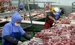 Áp lực 2 chiều 'phủ bóng' lên triển vọng ngành chế biến và sản xuất thịt