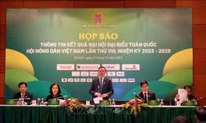 Đại hội VIII Hội Nông dân Việt Nam: Tích cực phát triển kinh tế tập thể trong nông nghiệp