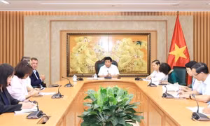 Phó Thủ tướng Nguyễn Chí Dũng tiếp Tổng Giám đốc Tập đoàn Avestos