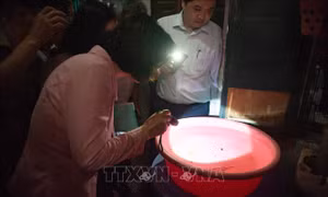 Sốt xuất huyết có xu hướng gia tăng, cần chủ động loại bỏ các ổ bọ gậy