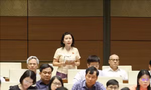 Coi chỉ số đánh giá là công cụ dẫn dắt và phát triển đội ngũ công chức