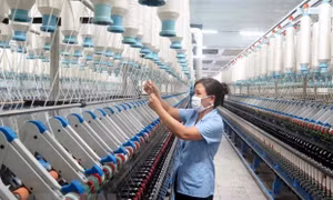Gắn trách nhiệm đại diện chủ sở hữu trong cơ cấu lại doanh nghiệp nhà nước 