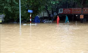 Tuyên Quang đồng loạt triển khai các giải pháp phòng, chống ngập lụt