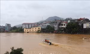Quân đội sẵn sàng bay cứu hộ, cứu nạn, tiếp cận vùng bị chia cắt do mưa lũ