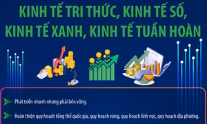 Xác lập mô hình tăng trưởng mới: Kinh tế tri thức, kinh tế số, kinh tế xanh, kinh tế tuần hoàn