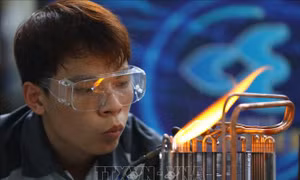 Góp ý đề án 'Nâng tầm kỹ năng lao động Việt Nam đến năm 2030, tầm nhìn đến năm 2045'