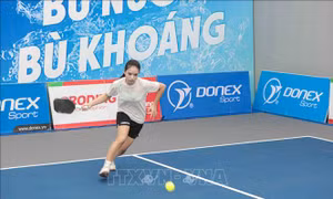 683 vận động viên tham dự Giải vô địch Pickleball các Câu lạc bộ quốc gia năm 2026