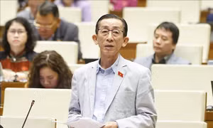 Kỳ họp đặc biệt tạo nền tảng pháp lý cho đất nước tiến vào kỷ nguyên mới 
