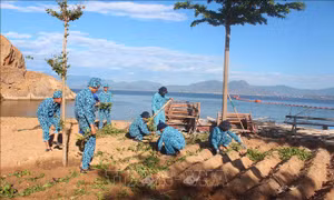 Hiệu quả thiết thực từ mô hình doanh trại Hải quân xanh - sạch - đẹp