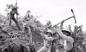 Một thời cống hiến, một đời tri ân
