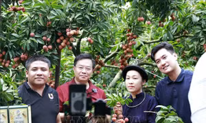 Livestream và thương mại điện tử đưa vải thiều đạt doanh thu kỷ lục