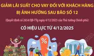 Giảm lãi suất cho vay đối với khách hàng bị ảnh hưởng sau bão số 12