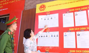 Ứng dụng mạnh mẽ chuyển đổi số ở địa phương có quy mô tổ chức bầu cử lớn nhất cả nước