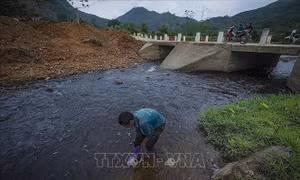 Tái diễn tình trạng ô nhiễm nguồn nước suối Cái