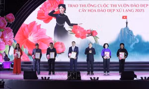 Lễ hội hoa đào Lạng Sơn 2023 - Kỳ hoa xứ Lạng, sắc màu biên cương