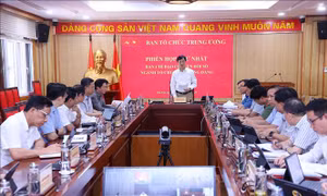 Phiên họp thứ nhất Ban Chỉ đạo chuyển đổi số ngành Tổ chức xây dựng Đảng