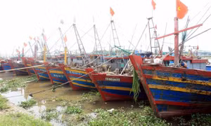 Quảng Bình thực hiện tốt '4 tại chỗ' để ứng phó với bão Noru