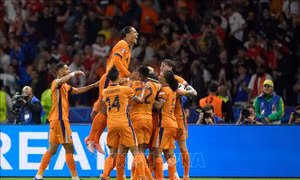 EURO 2024: Chồn biển và đại bàng dự đoán về cuộc đối đầu Anh - Hà Lan