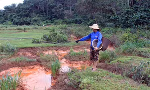 Xử lý vụ nước màu đỏ chứa bùn thải từ nhà máy bô xít chảy ra suối tại Đắk Nông
