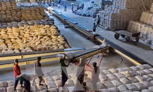 Danh sách doanh nghiệp trúng thầu gạo dự trữ quốc gia nhưng từ chối ký kết