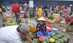 Phát triển đa dạng phương thức kinh doanh tiêu thụ nông sản theo chuỗi bền vững