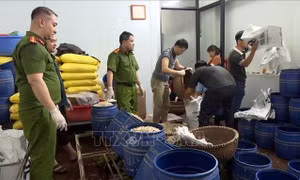Khởi tố, bắt tạm giam 2 đối tượng sản xuất giá đỗ bằng chất cấm