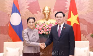 Chủ tịch Quốc hội Vương Đình Huệ tiếp Phó Chủ tịch nước Lào Pany Yathotou
