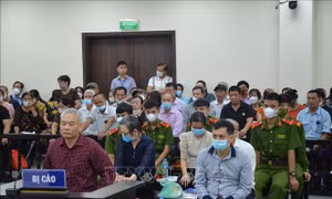 Đề nghị phạt tù chung thân đối với bị cáo Trần Đức Trung