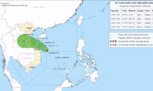 Áp thấp nhiệt đới không thay đổi hướng di chuyển, hướng về vùng biển Quảng Trị - Huế