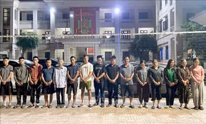 Triệt phá tụ điểm xóc đĩa trong rừng Nghệ An