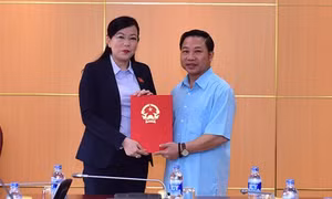 Bổ nhiệm ông Lưu Bình Nhưỡng giữ chức Phó Trưởng Ban Dân nguyện