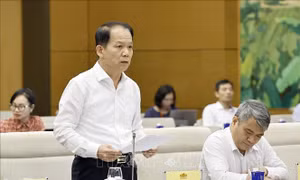 Phiên họp thứ 5, Ủy ban Thường vụ Quốc hội: Đề xuất cho phép giảng viên luật có thể trở thành luật sư