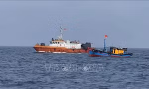 Chuyên gia tại Australia đánh giá Việt Nam có nhiều chuyển biến tích cực trong gỡ 'thẻ vàng' IUU