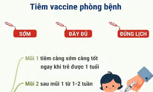 CDC Hà Nội hướng dẫn phòng bệnh viêm não Nhật Bản