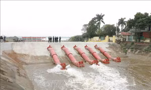 Chủ động cho lấy nước đợt 2 phục vụ sản xuất vụ Đông Xuân