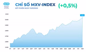 MXV-Index nối dài đà tăng sang phiên thứ 4, dao động trên mốc 3.000 điểm