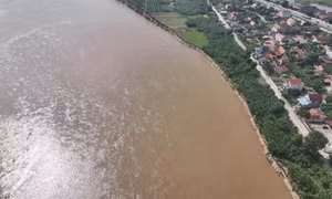Thông tin vỡ đê Hữu Thao ở Phú Thọ là không chính xác