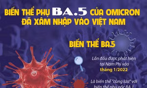 Biến thể phụ BA.5 của Omicron lây lan nhanh hơn biến thể cũ